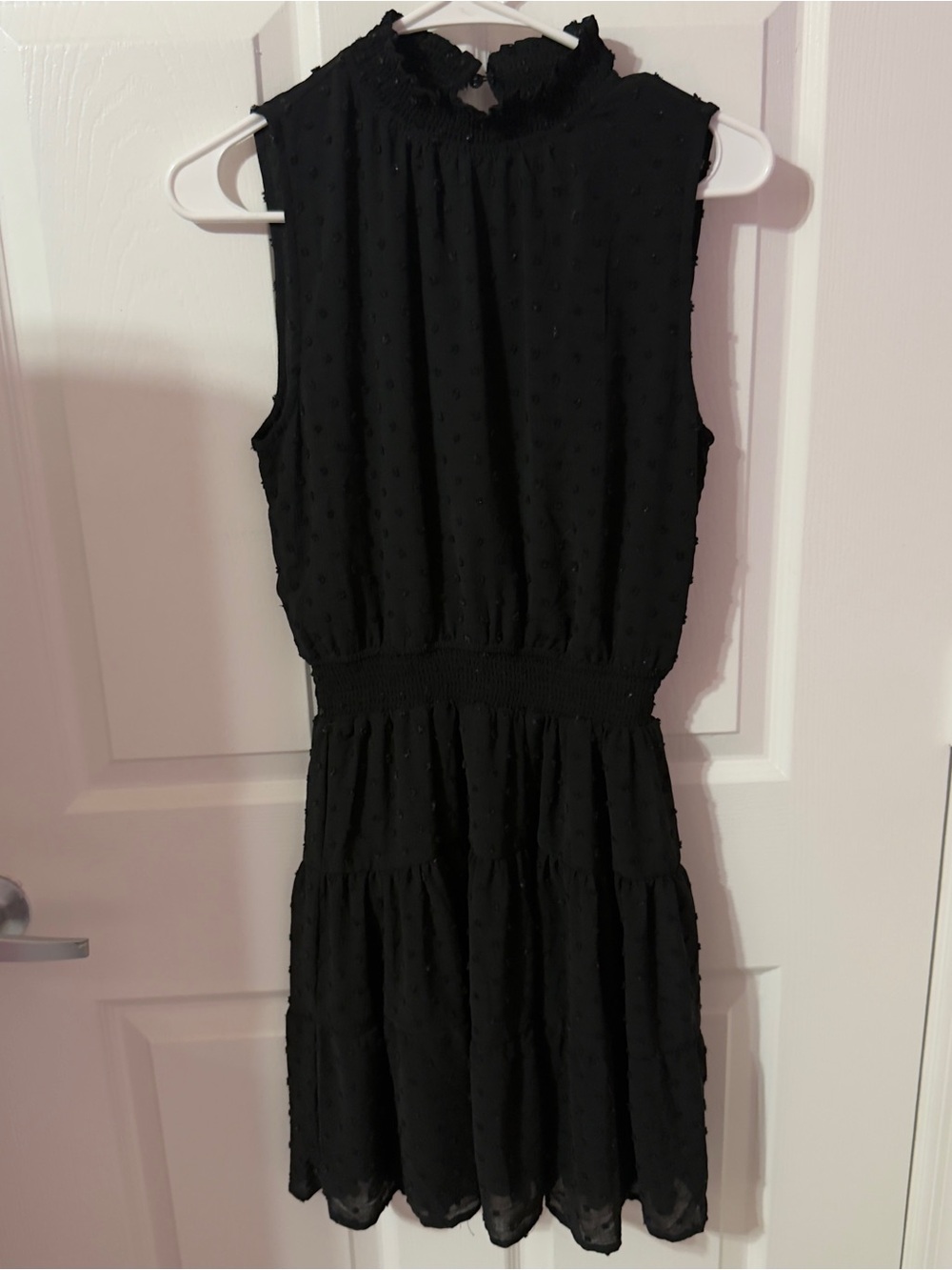 Sweet Wanderer Black Sleeveless Smocked-Waist Swiss Dot Mini Dress